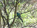 DSC00037 (2)